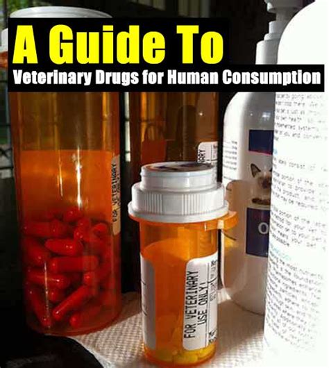 A Guide To Veterinary Drugs For Human Consumption Shtf