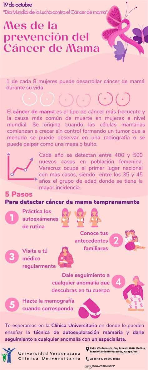 Infografia Cancer De Mama Docsity The Best Porn Website