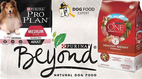 Best purina one dog food recipes. Purina Dog Food recall & reviews | Purina One & Pro Plan ...