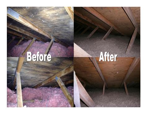How Much Does A Home Mold Inspection Cost Michigangranitedesigns