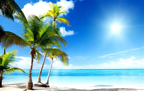 Tropical Beach Paradise 4k Hd Desktop Wallpaper For