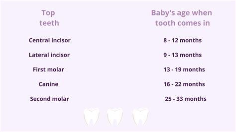 Baby Teeth Chart Which Teeth Erupt First And Which Are Most Painful
