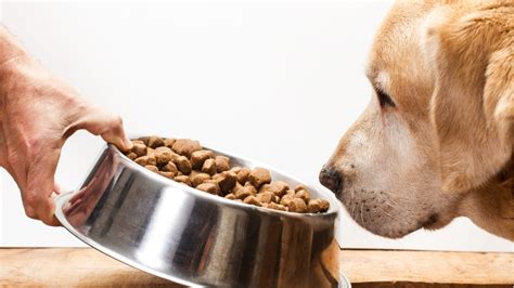 Pet food pantry of eastern north do you know many pet owners visit human food banks and then share their food with their pets? ASPCA in NYC opens pet food pantry amid coronavirus ...