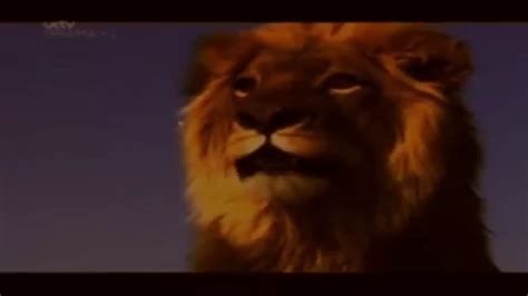 The Real Lion King 2019 2009 Mufasa Spirit And Simba Scene