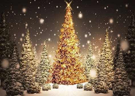 1920x1080px 1080p Free Download Christmas Tree Hd Wallpaper Peakpx