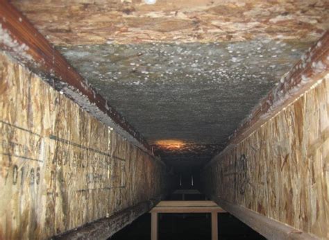 Air testing for mold air sampling tests the concentration of mold spores in your home's air. Is It Hard Take Out Mold in Crawl Space? - Clean Water ...