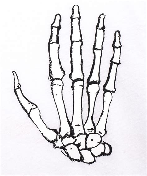 Skeleton Hand Drawing Coloring Pages