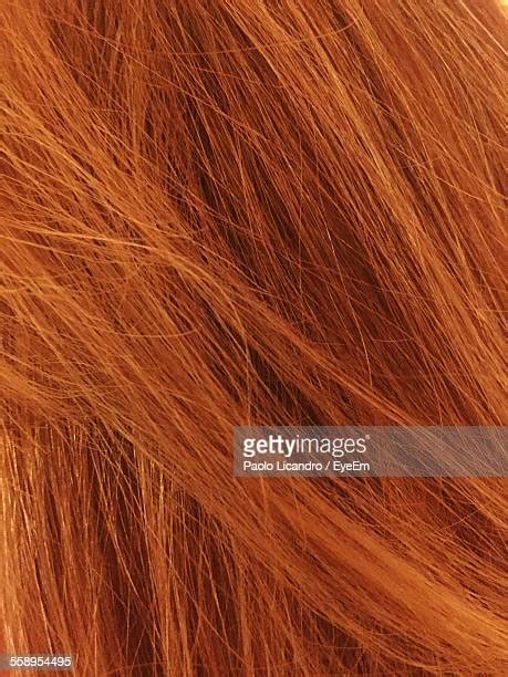 Ginger Close Up Photos And Premium High Res Pictures Getty Images