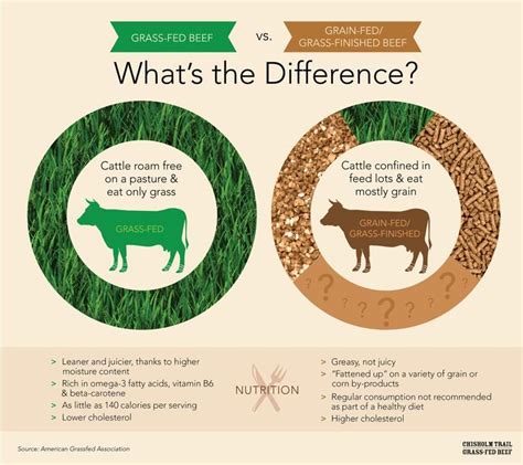 Infographic Grass Fed Vs Grain Fed Cows Organic Meat Types Of Meat