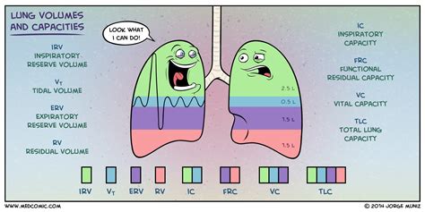 Volume E Capacidades Pulmonares