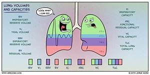 Lung Volumes And Capacities Medcomic