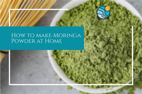 How To Make Moringa Powder At Home - Westonbirt Arboretum gambar png