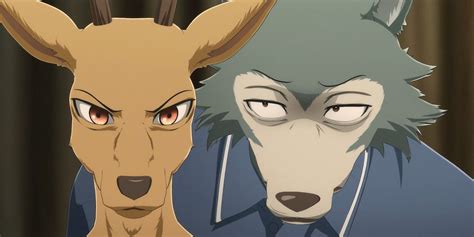 Beastars Legoshi And Louis Demonstrate The Importance Of Teamwork