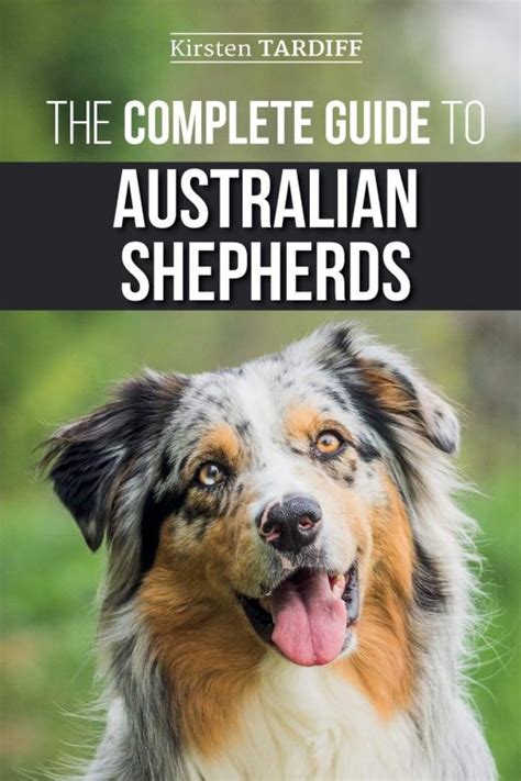 14 Books Every Australian Shepherd Dog Owner Should Read The Dogman