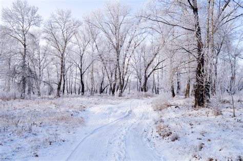 Winter Landscape Free Stock Photo Public Domain Pictures