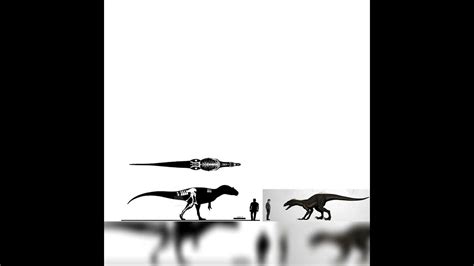 Allosaurus And Indoraptor Size Comparison Youtube