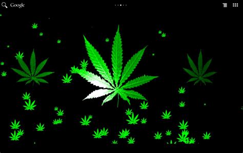 3d Wallpaper Weed Leaf Wallpapers Hd Wallpapers Record