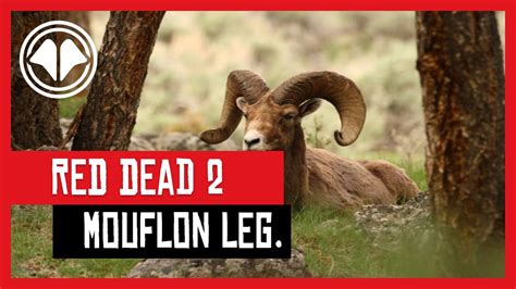 Red Dead Redemption 2 Mouflon Légendaire Youtube