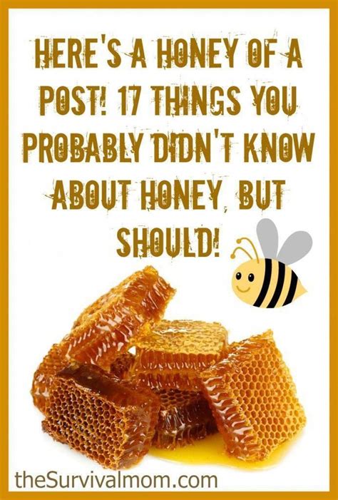 17 Things You Probably Didnt Know About Honey Via Thesurvivalmo