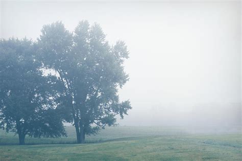 Foggy Country Scene Lima Ohio Photograph By Dan Sproul Fine Art America