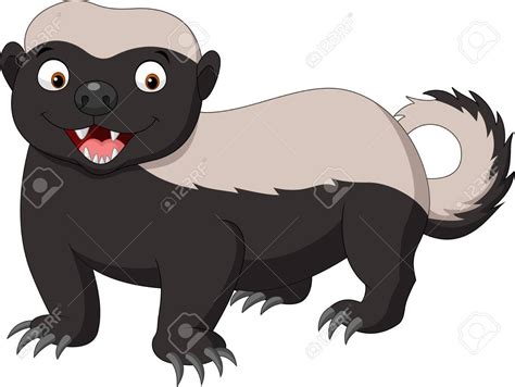 Clipart Honey Badger 20 Free Cliparts Download Images On Clipground 2024