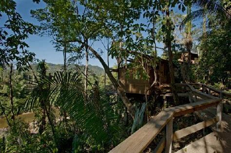 Ian Andersons Caves Branch Jungle Lodge Belizebelmopan Voir Les