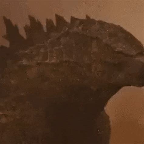Interesting Pictures Gifs Random Videos Godzilla Godzilla Vs My XXX Hot Girl