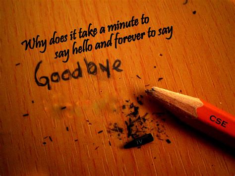 Best memento quotes, with movie clips, ranked by fans. Quotes about Last farewell (30 quotes)
