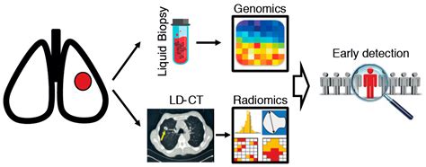 Jcm Free Full Text Deciphering The Molecular Profile Of Lung Cancer