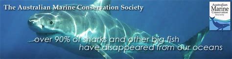Australian Marine Conservation Society Au With