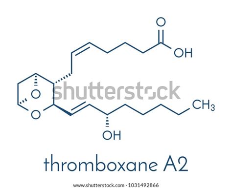 Thromboxane A2 Txa2 Molecule Skeletal Formula Stock Vector Royalty