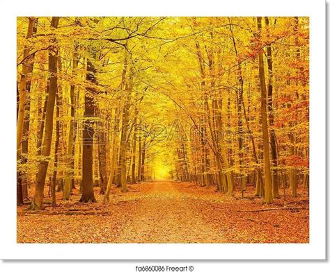 Pathway In The Autumn Park Art Print From Tree