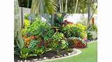 Tropical Backyard Landscaping Ideas Pictures Images