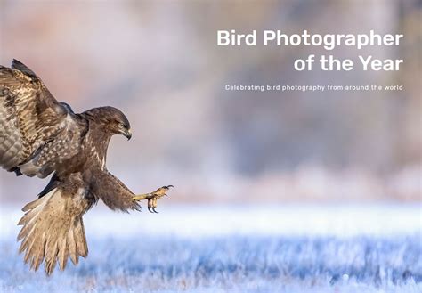 Bpoty 2019 Bird Photographer Of The Year Photo Contest Deadlines
