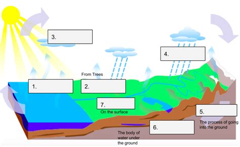 Science Water Cycle Quiz Diagram Quizlet