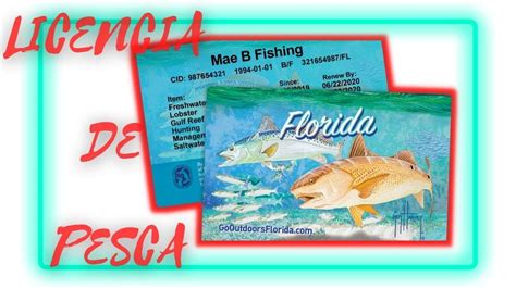👌 Como Obtener Licencia O Permiso De Pesca En La Florida Usa Y