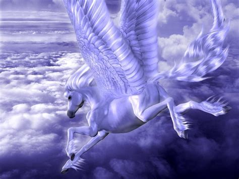 Pegasus And Unicorn Fantasy Animals Wallpaper 13992258 Fanpop