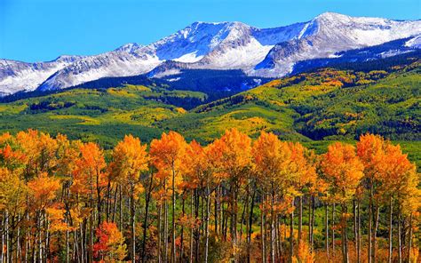 Autumn Colorado Fall Snowy Mountains Nature Landscape Hd Wallpaper