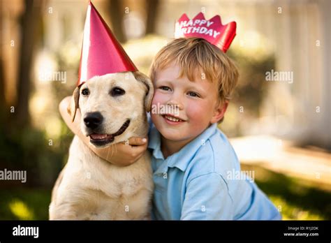 Dogs Wearing Party Hat Hi Res Stock Photography And Images Alamy