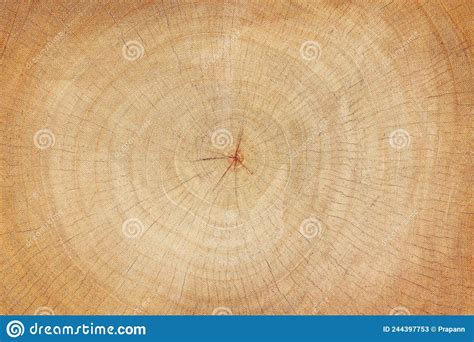 A Slice Of Wood Timber Natural Background Stock Image Image Of