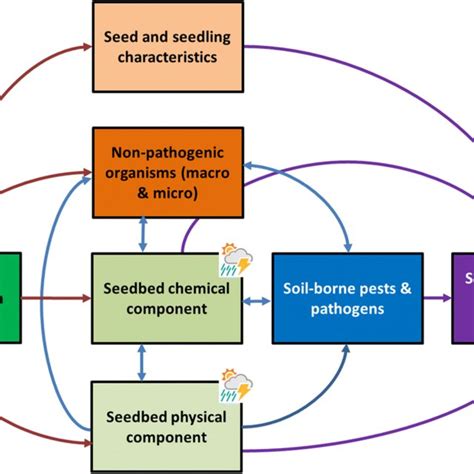 Pdf Abiotic And Biotic Factors Affecting Crop Seed Germination And