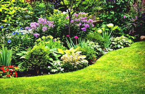 10 Layout Full Sun Perennial Garden Designs