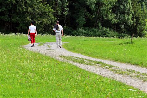 Free Images Grass Walking Hiking Trail Lawn Meadow Walk Green