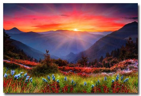 Nicoleshenting Sunset Mountains Flowers Nature Art Silk Fabric Poster