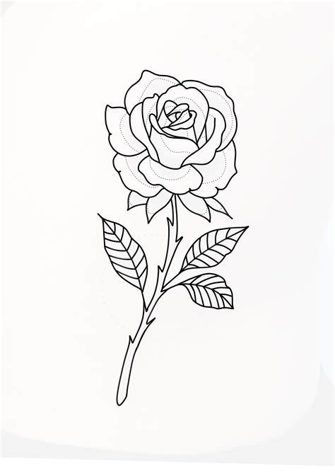 Rose Outline Drawing Rose Outline Tattoo Rose Drawing Simple Rose