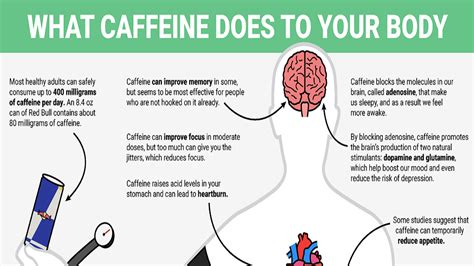Caffeine Addict Siowfa16 Science In Our World Certainty And