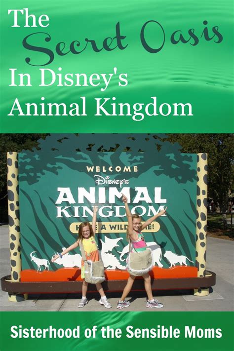 The Secret Oasis In Animal Kingdom Travel And Disney World