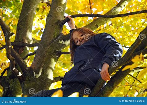 Girl Climbing Up A Tree Stock Image Image Of Kids Climbing 194637859