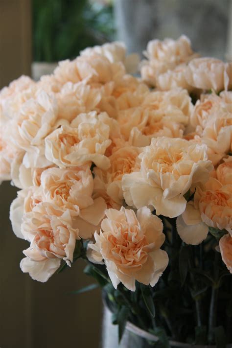 Pale Peach Lizzy Carnation Touch Of Blush Peach Flowers Wedding