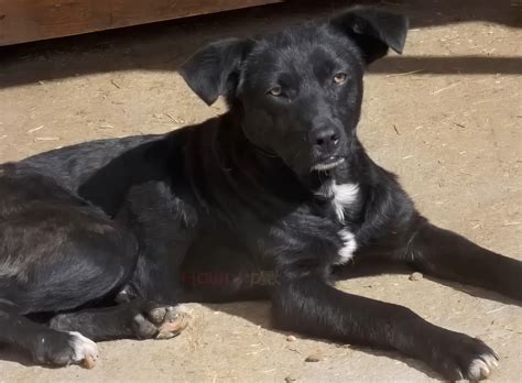 Alixe's Resilient Journey: Navigating Through Melancholy to Embrace a